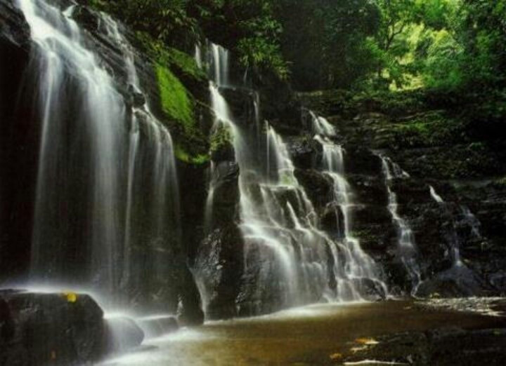 Nơi đây có nhiều thác nước và con sông lớn. Hệ thống sông ngòi trong công viên rất phong phú, trong đó nổi bật là sông Atrato. Nguồn nước dồi dào giúp duy trì các hệ sinh thái đầm lầy và rừng ngập nước, đồng thời nuôi dưỡng vô số loài sinh vật. Ảnh: Pinterest.