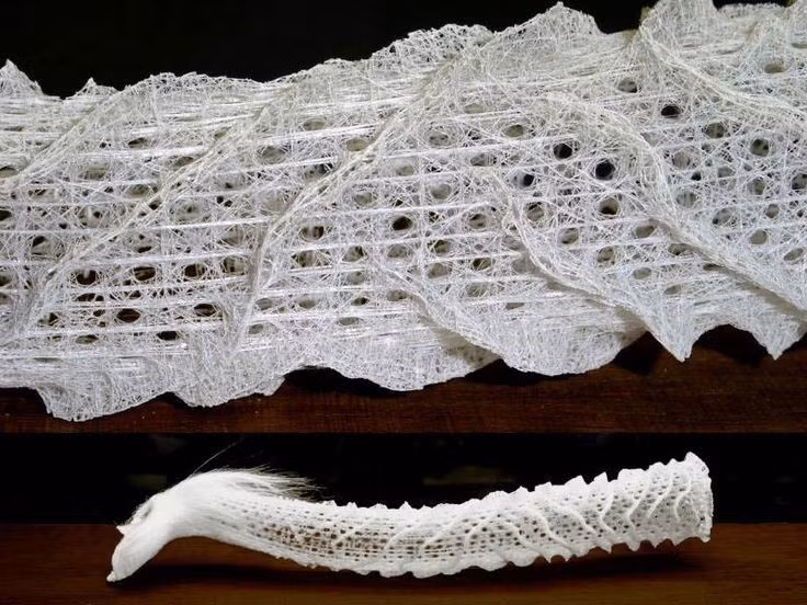 Cấu trúc hình học có độ bền đáng kinh ngạc. Cách các sợi silica đan chéo tạo nên khả năng chịu lực cao, giúp hải miên đứng vững trước dòng chảy mạnh dưới đáy biển sâu. Ảnh: Pinterest.