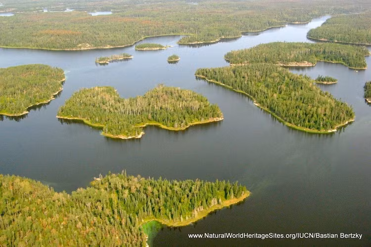 Là Di sản Thế giới kết hợp giữa thiên nhiên và văn hóa. Pimachiowin Aki được UNESCO công nhận là Di sản Thế giới vào năm 2018. Đây là một trong số ít địa điểm trên thế giới được công nhận cùng lúc vì giá trị thiên nhiên đặc biệt và truyền thống văn hóa bản địa vẫn còn được duy trì. Ảnh: Pinterest.