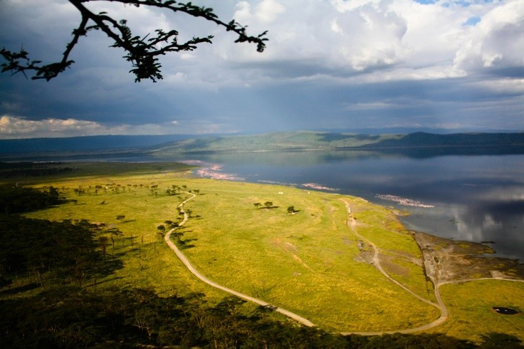 8. Biến đổi mực nước thất thường. Trong những năm gần đây, mực nước hồ thay đổi đáng kể, ảnh hưởng đến môi trường sống của nhiều loài chim và động vật. Ảnh: Pinterest.