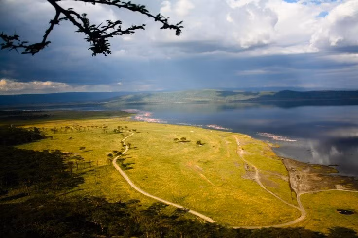 8. Biến đổi mực nước thất thường. Trong những năm gần đây, mực nước hồ thay đổi đáng kể, ảnh hưởng đến môi trường sống của nhiều loài chim và động vật. Ảnh: Pinterest.