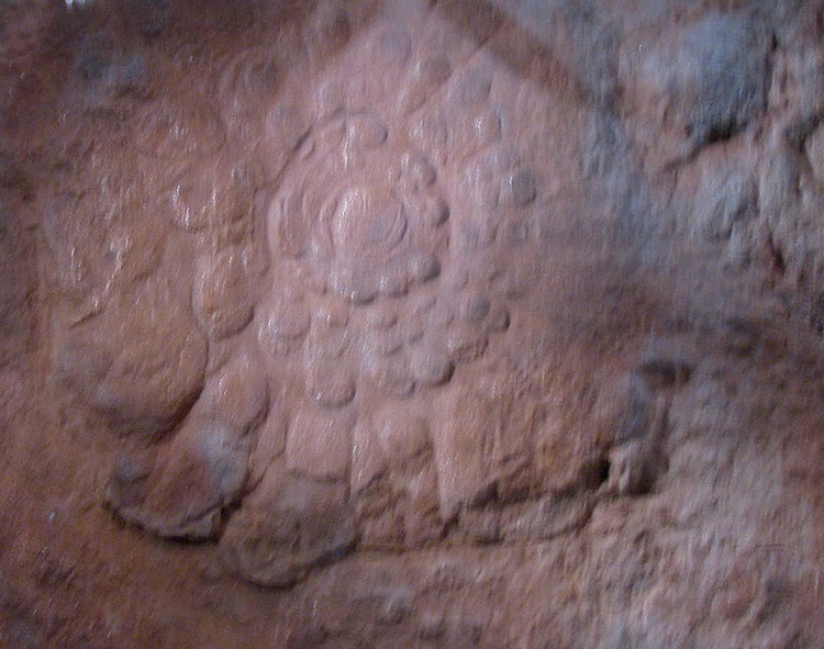 Niên đại từ kỷ Tiền Cambri. Các mẫu Mawsonites có tuổi đời hơn 540 triệu năm, thuộc giai đoạn đầu của sự sống đa bào trên Trái đất. Ảnh: Pinterest.