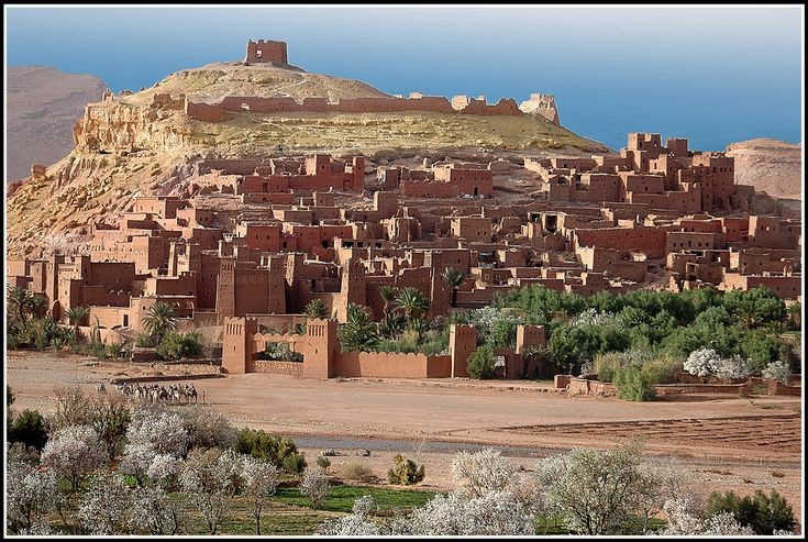 Pháo đài – làng hợp nhất trong một cấu trúc. “Ksar” là dạng làng kiên cố có tường bao, bên trong gồm nhiều gia đình sống quây quần. Trung tâm thường có nhà kho chung và khu sinh hoạt cộng đồng, thể hiện tính liên kết bền chặt của cư dân sa mạc. Ảnh: Pinterest.