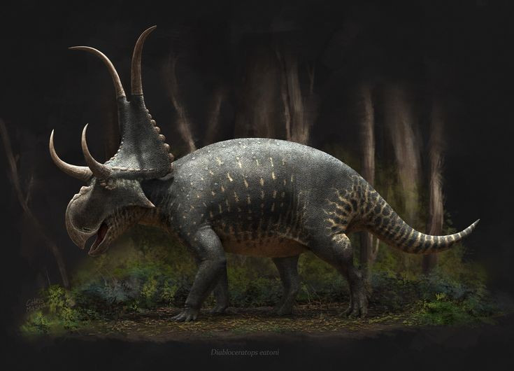 Kích thước của chúng nhỏ hơn nhiều so với Triceratops. Diabloceratops dài khoảng 5 mét và nặng hơn một tấn. Ảnh: Pinterest.