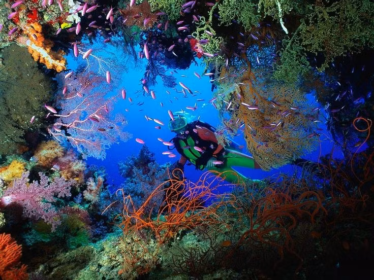 UNESCO công nhận là Di sản Thế giới. Rạn san hô Belize được UNESCO ghi danh vào năm 1996 nhờ giá trị sinh thái và cảnh quan biển độc đáo. Ảnh: Pinterest.