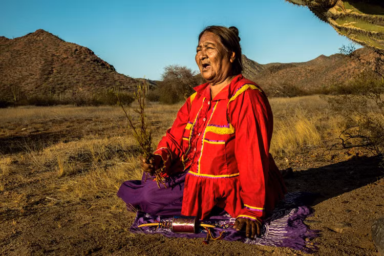 Nỗ lực bảo tồn văn hóa trong thời hiện đại. Ngày nay, người Seri đang tích cực gìn giữ ngôn ngữ, nghệ thuật và tri thức truyền thống, đồng thời tham gia bảo tồn sinh thái biển tại vịnh California. Ảnh: nyt.com.