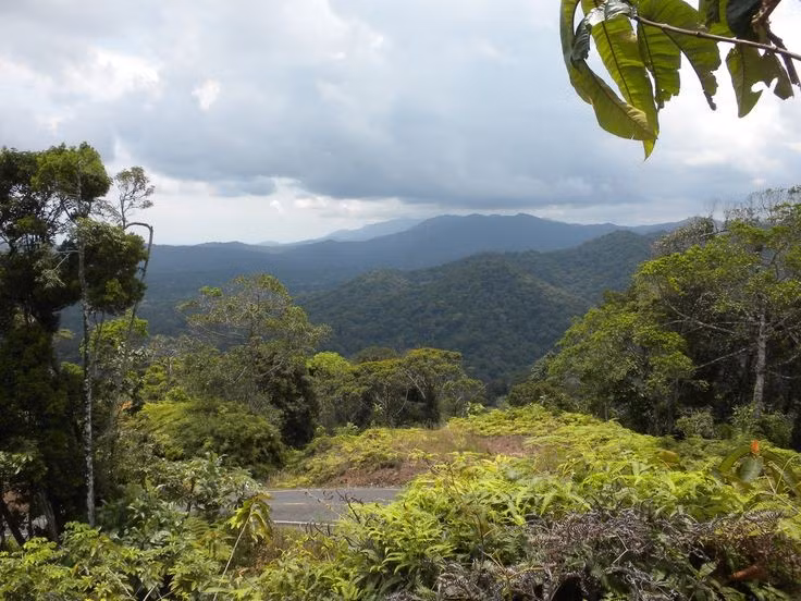 Đường cao tốc Liên châu Mỹ bị gián đoạn tại Darién. Khu vực này có “khoảng trống Darién” – phần duy nhất chưa có đường nối giữa hai châu lục. Ảnh: Pinterest.