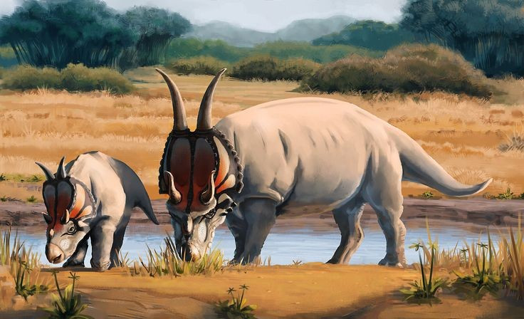 Là một trong những loài khủng long mặt sừng cổ xưa nhất được biết đến. Phát hiện Diabloceratops giúp các nhà khoa học hiểu rõ hơn quá trình tiến hóa của nhóm khủng long sừng. Ảnh: Pinterest.