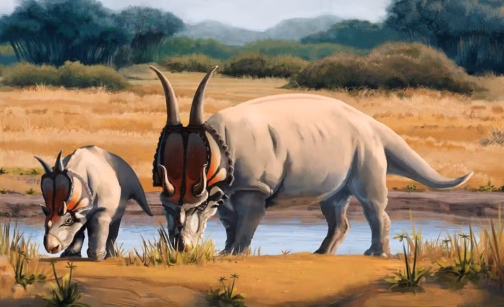 Là một trong những loài khủng long mặt sừng cổ xưa nhất được biết đến. Phát hiện Diabloceratops giúp các nhà khoa học hiểu rõ hơn quá trình tiến hóa của nhóm khủng long sừng. Ảnh: Pinterest.