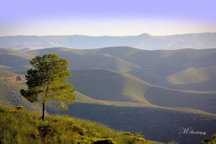 Được UNESCO công nhận Di sản Thế giới. Năm 2018, Makhonjwa chính thức được UNESCO công nhận nhờ giá trị địa chất và khoa học nổi bật, khẳng định tầm quan trọng toàn cầu của khu vực này. Ảnh: Pinterest.
