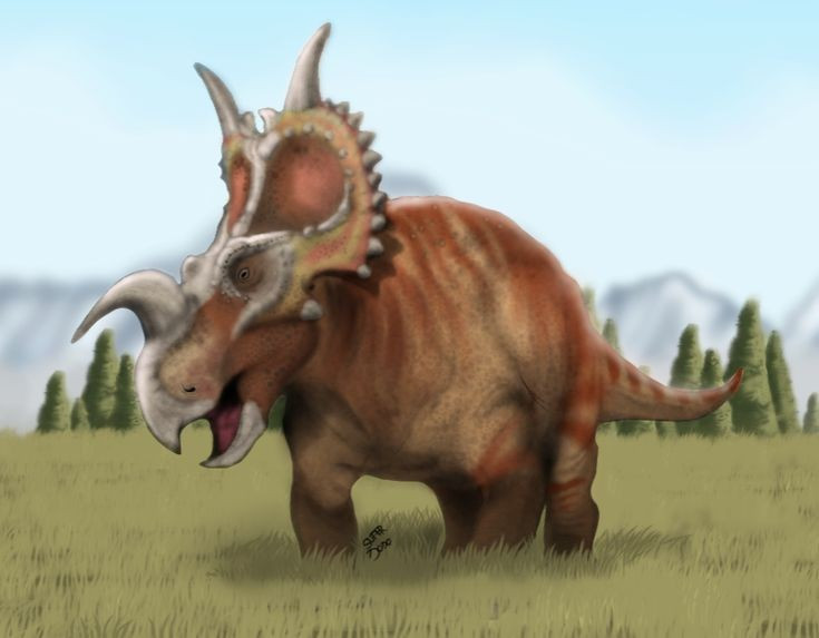 Kích thước trung bình trong họ khủng long sừng. Einiosaurus dài khoảng 4,5–6 mét và nặng vài tấn, nhỏ hơn Triceratops nhưng vẫn là động vật ăn cỏ lớn trong hệ sinh thái cổ đại. Cơ thể chắc khỏe giúp chúng di chuyển ổn định theo bầy đàn. Ảnh: Pinterest.