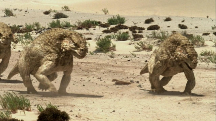 Đi theo đàn. Hóa thạch tập trung gợi ý rằng Scutosaurus có thể sống theo nhóm để tăng cơ hội sống sót. Ảnh: Pinterest.