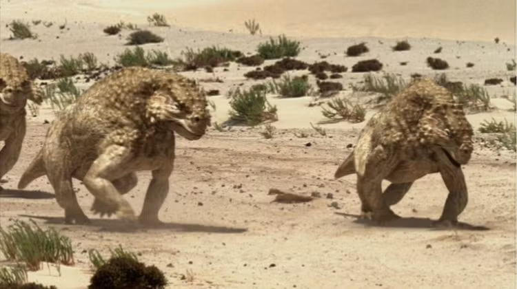 Đi theo đàn. Hóa thạch tập trung gợi ý rằng Scutosaurus có thể sống theo nhóm để tăng cơ hội sống sót. Ảnh: Pinterest.