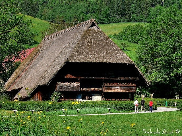 Kết hợp hài hòa giữa thiên nhiên và du lịch sinh thái. Ngày nay, Rừng Đen là điểm đến du lịch sinh thái quan trọng của Đức, với các tuyến đường mòn, spa suối khoáng và làng quê truyền thống được bảo tồn hài hòa cùng thiên nhiên. Ảnh: Pinterest.