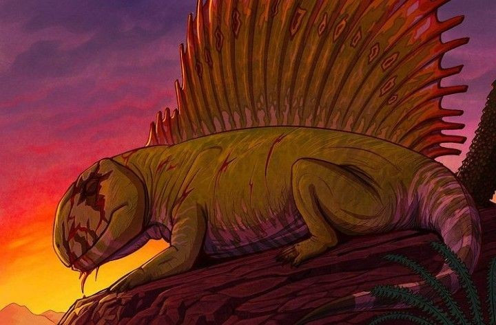Sống cách đây 295 triệu năm. Dimetrodon xuất hiện trong kỷ Permi, trước khủng long khoảng 40 triệu năm. Ảnh: Pinterest.