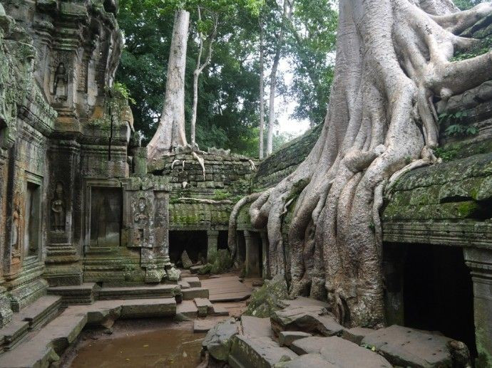 Tên gọi “Ta Prohm” mang ý nghĩa đặc biệt. Tên đầy đủ là “Rajavihara”, nhưng tên phổ biến “Ta Prohm” có nghĩa là “tổ tiên được tôn kính”. Ảnh: Pinterest.