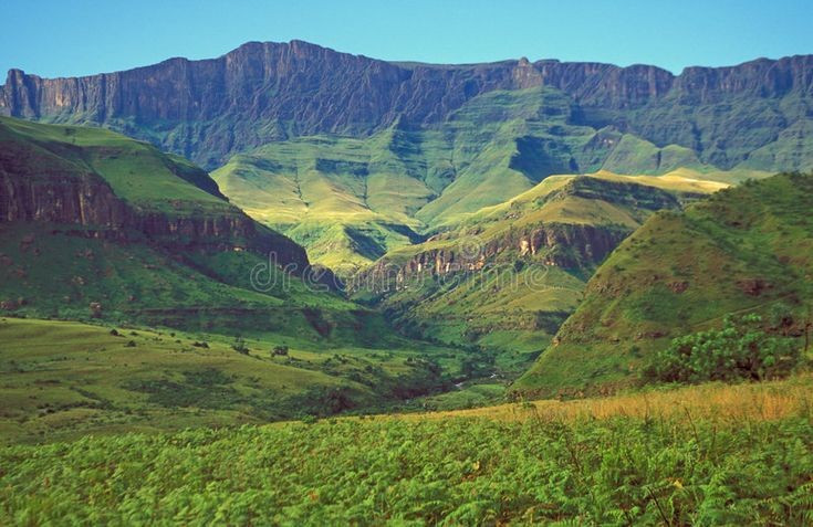 Hệ động thực vật vô cùng đa dạng. Drakensberg là nơi sinh sống của nhiều loài đặc hữu như khỉ đầu chó chacma và linh dương eland. Ảnh: Pinterest.