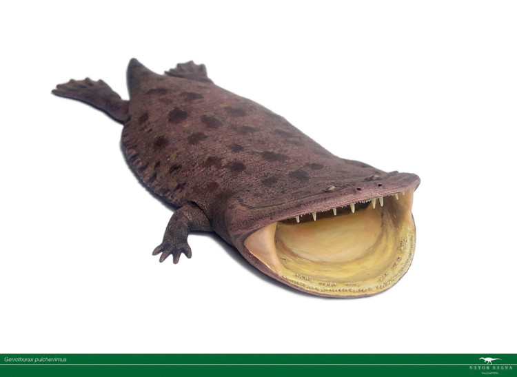 Chúng mở hàm theo hướng ngược. Thay vì hạ hàm dưới như hầu hết các loài động vật, Gerrothorax nâng đầu lên để há miệng. Ảnh: artstation.com.