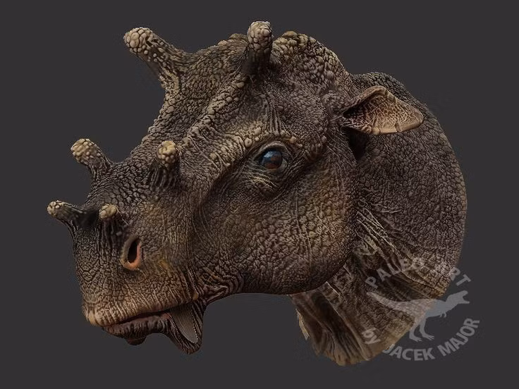 4. Hộp sọ có nhiều u xương. Trên đầu Uintatherium có sáu khối u xương lớn, khiến diện mạo của chúng trở nên khác thường và dễ nhận biết. Ảnh: Pinterest.