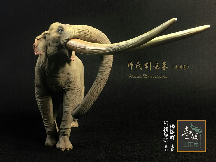 4. Thức ăn chủ yếu là lá cây. Chúng ăn cỏ, lá cây và cành non, sở hữu răng hàm lớn và đặc biệt thích hợp để nghiền nát thức ăn thô. Ảnh: Pinterest.