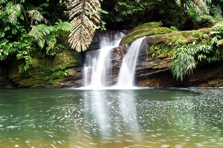 Được UNESCO công nhận là Di sản Thế giới. Darién được vinh danh vào năm 1981 vì giá trị sinh thái đặc biệt. Ảnh: Pinterest.