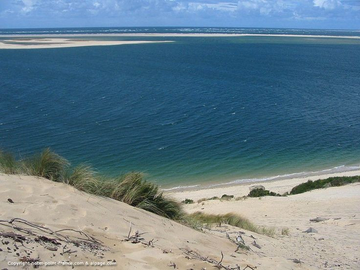 Hệ sinh thái biển phong phú. Vùng nước nông giàu dinh dưỡng của Vườn quốc gia nuôi dưỡng các loài cá, động vật thân mềm và giáp xác, đóng vai trò quan trọng trong chuỗi thức ăn biển. Ảnh: Pinterest.