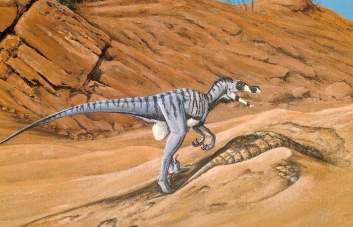 Sống ở vùng khí hậu khô và bán khô hạn. Các hóa thạch được tìm thấy chủ yếu ở Mông Cổ và Trung Quốc. Ảnh: Pinterest.