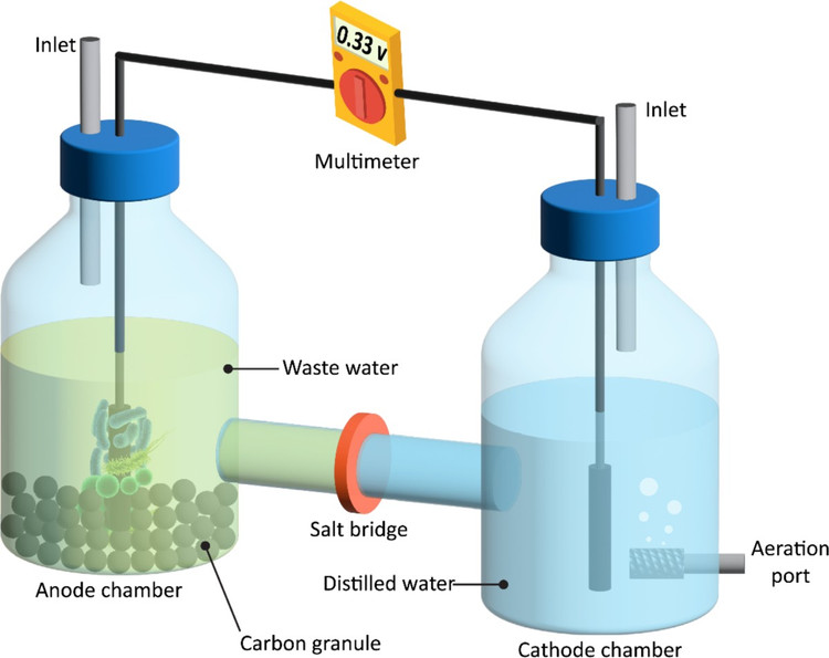 6. Góp phần xử lý ô nhiễm môi trường. Chúng có thể loại bỏ kim loại nặng hoặc độc tố trong nước thải khi tạo điện. Ảnh: springernature.com.