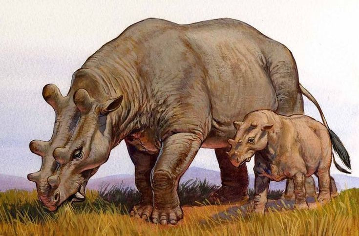 1. Sống cách đây hơn 35 triệu năm. Uintatherium tồn tại trong thế Eocen, khoảng 37–35 triệu năm trước, khi các loài thú lớn bắt đầu phát triển mạnh mẽ. Ảnh: Pinterest.