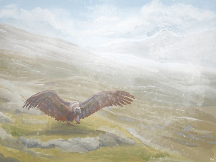 4. Có thể bay hàng trăm cây số trong một ngày. Nhờ khả năng lượn hiệu quả, Argentavis có thể di chuyển một khoảng cách lớn mà tiêu tốn rất ít năng lượng, giúp nó săn mồi hoặc tìm xác thối trên diện tích rộng lớn. Ảnh: Pinterest.