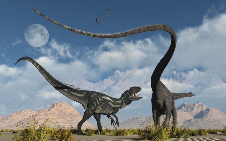 Là biểu tượng của nhóm khủng long sauropod. Với thân hình thon dài, cổ và đuôi cực dài cùng dáng đi bốn chân, Diplodocus trở thành hình mẫu tiêu biểu khi nhắc đến khủng long cổ dài. Các nghiên cứu hiện đại về sinh học, tư thế và sinh thái của chúng vẫn tiếp tục làm sáng tỏ cách một sinh vật khổng lồ như vậy có thể tồn tại và phát triển mạnh mẽ. Ảnh: Pinterest.