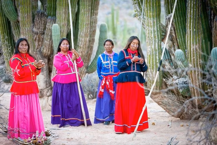 Ngôn ngữ Seri hoàn toàn biệt lập. Tiếng Seri không thuộc bất kỳ hệ ngôn ngữ nào khác tại châu Mỹ, được các nhà ngôn ngữ học xếp vào nhóm ngôn ngữ cô lập, phản ánh quá trình phát triển văn hóa độc lập kéo dài hàng nghìn năm. Ảnh: Pinterest.