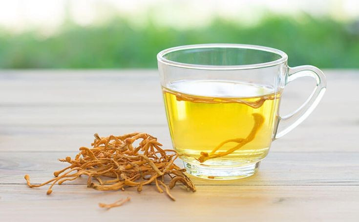 Một trong những dược liệu đắt đỏ nhất thế giới. Do sản lượng tự nhiên rất hạn chế và nhu cầu lớn, đông trùng hạ thảo tự nhiên có thể đạt giá hàng chục nghìn USD mỗi kilogram. Ở nhiều vùng Tây Tạng, việc thu hái nấm này vào mùa xuân trở thành nguồn thu nhập quan trọng của người dân địa phương. Ảnh: Pinterest.