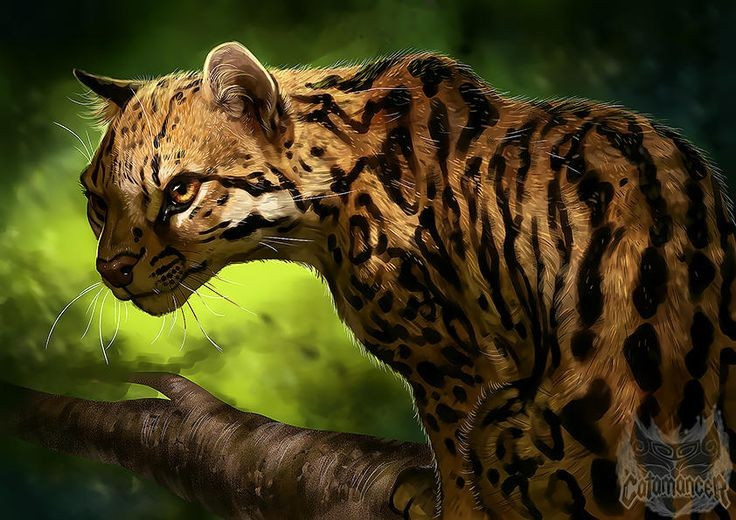 Có tập tính sống đơn độc. Mỗi con Ocelot sở hữu lãnh thổ riêng, và chúng rất hiếm khi chia sẻ không gian với đồng loại. Ảnh: Pinterest.