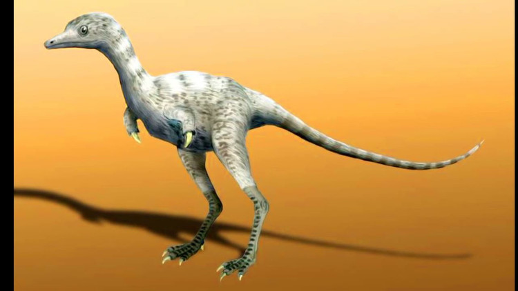 Lật đổ định kiến về khủng long. Sự tồn tại của những loài khủng long bé nhỏ cho thấy thế giới kỷ nguyên khủng long đa dạng hơn nhiều so với hình dung phổ biến, và không phải khủng long nào cũng là quái vật khổng lồ. Ảnh: ytimg.com.