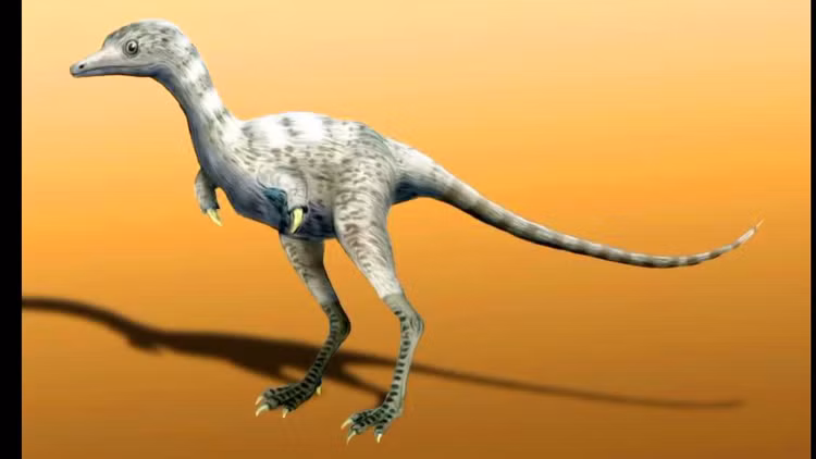 Lật đổ định kiến về khủng long. Sự tồn tại của những loài khủng long bé nhỏ cho thấy thế giới kỷ nguyên khủng long đa dạng hơn nhiều so với hình dung phổ biến, và không phải khủng long nào cũng là quái vật khổng lồ. Ảnh: ytimg.com.