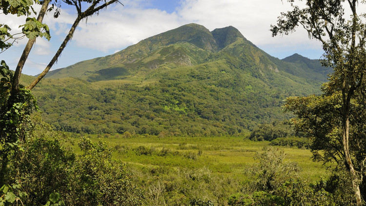 Vườn quốc gia mang tên hai núi lửa Kahuzi và Biéga. Cả hai ngọn núi đều đã tắt và tạo cảnh quan ấn tượng. Ảnh: africageographic.com.