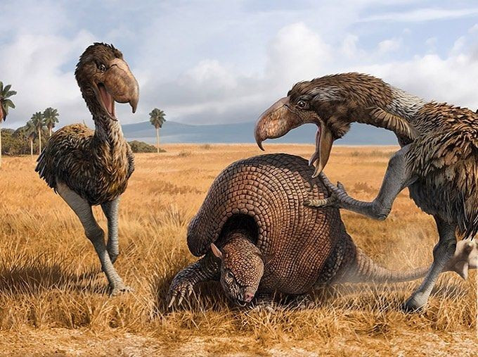 8. Glyptodon tuyệt chủng cách đây khoảng 10.000 năm. Sự thay đổi khí hậu sau Kỷ Băng Hà cùng với áp lực từ con người được cho là những nguyên nhân chính dẫn đến sự tuyệt chủng của loài này. Ảnh: Pinterest.