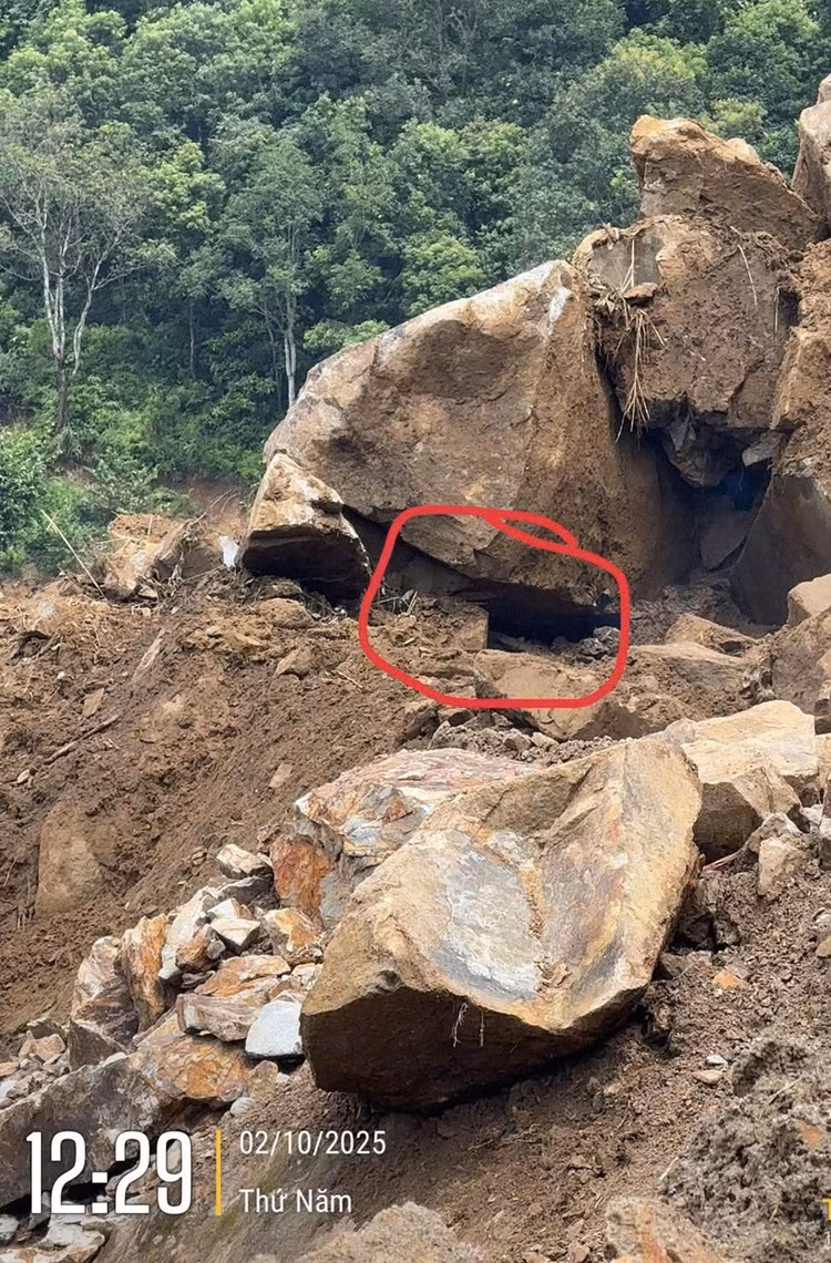 2-9799.jpg