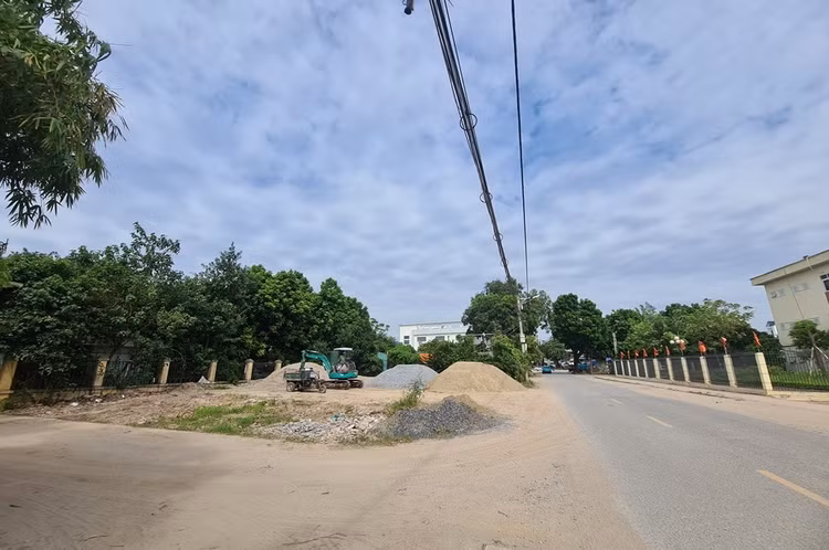 a9.jpg
