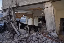 Mối nguy chết người tiềm ẩn ở Dải Gaza