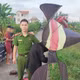 Hải Phòng thu giữ diều bay cao đe dọa an toàn hàng không