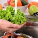 Thói quen rửa rau tưởng sạch nhưng có thể gây hại sức khỏe
