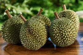 Sầu riêng Blackthorn đắt đỏ, giá cao gấp đôi các giống phổ biến tại Việt Nam