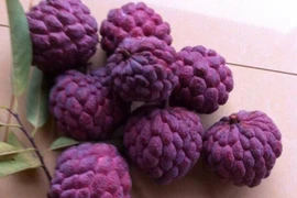 Na tím - loại quả mới nổi với vẻ đẹp và hương vị thơm ngon