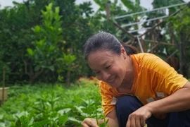 Bên trong khu vườn 3.000m2 của diễn viên Tú Oanh 