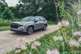 Subaru Forester HEV ra mắt Việt Nam tháng 10/2026, khoảng 1,5 tỷ đồng?