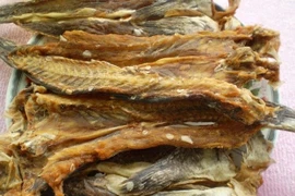 Loài cá 'biết leo cây' hơn nửa triệu đồng/kg hút khách dịp Tết