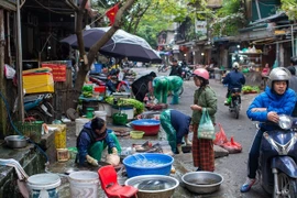 Chợ cóc, chợ tạm Hà Nội trước ngày bị dẹp bỏ