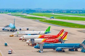 Hãng bay Việt tạm dừng hàng loạt chuyến, người mua cần lưu ý gì?